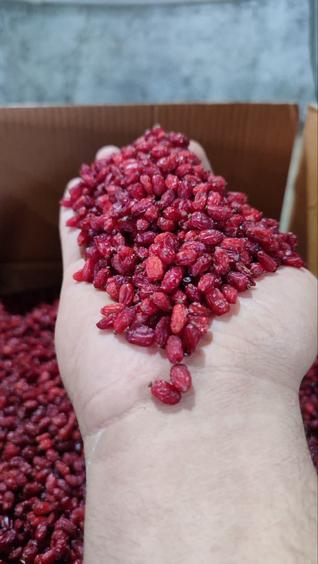 زرشک پفکی درجه یک خراسان جنوبی خوشرنگ و با کیفیت | عطاری و خشکباری شبنم